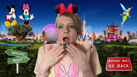 My Disney World Road Trip From Hell! From Car Accidents