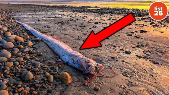 25 Warnings From Nature That Signal Disaster Is Coming