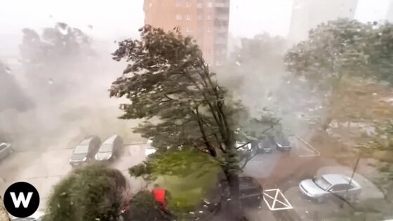 Most HORRIFIC Natural Disasters Ever Caught On Camera That Will CREEP You OUT!